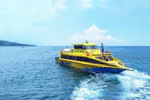 Gili T seasickness medicine
